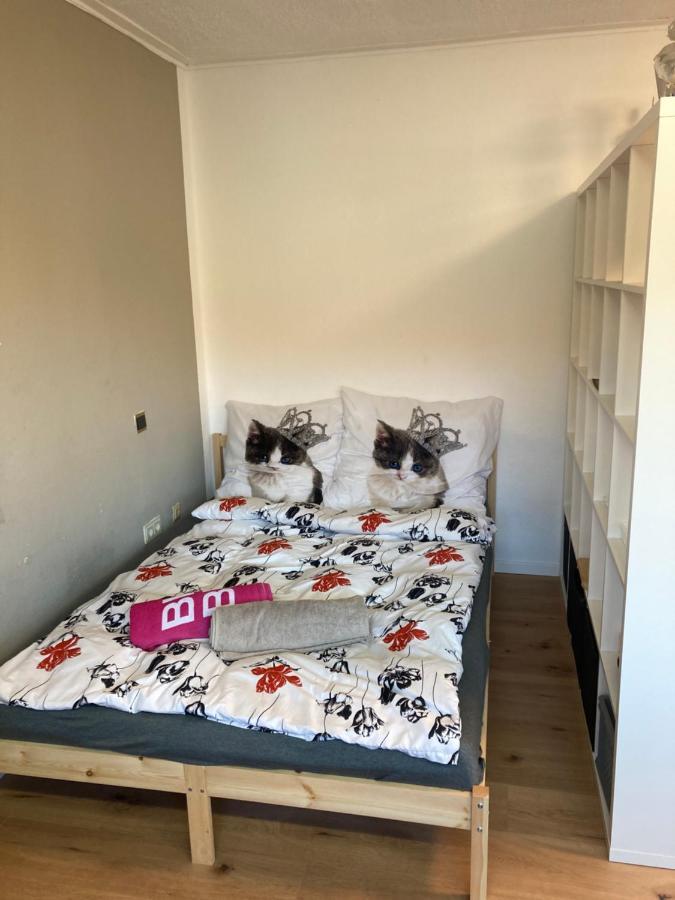 Privatzimmer In Muenchen Zentrum Exteriér fotografie